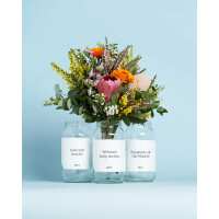 Read LVLY Reviews